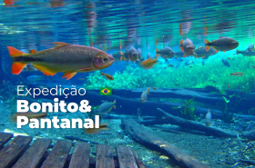 EXPEDIÇÃO BONITO E PANTANAL - Paraíso Ecológico e Natural 